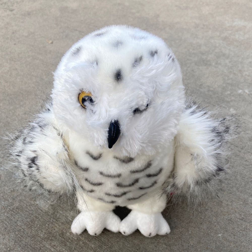 Douglas Wizard Snowy Owl plush stuffed animal.